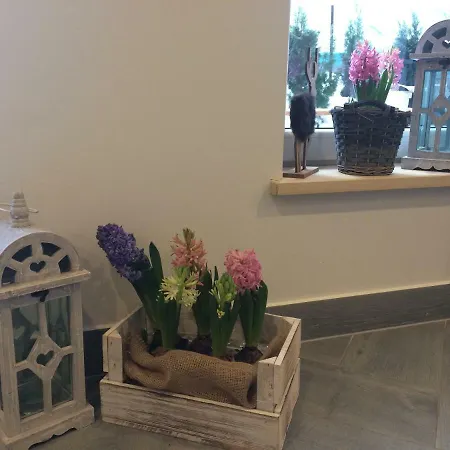 U Bizioma Homestay szállás Murzasichle