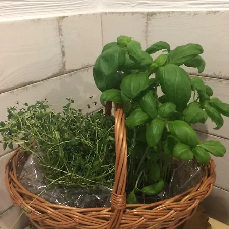 U Bizioma Quarto em Acomodações Particulares